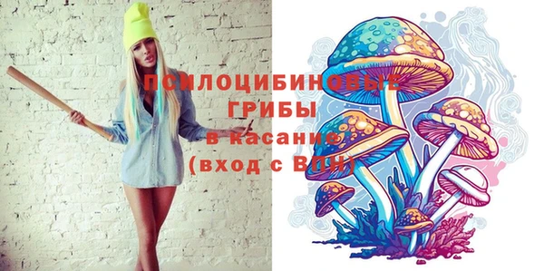 мяу мяу мука Арсеньев