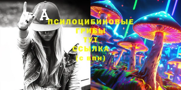 мяу мяу мука Арсеньев