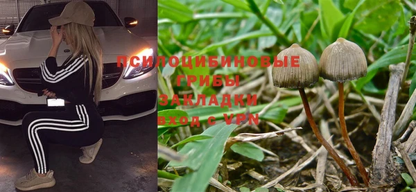 дмт Аркадак