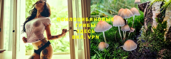дмт Аркадак
